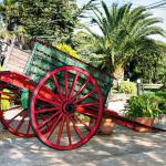 Finca El Lebrel carro